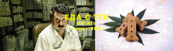 тгк Армянск