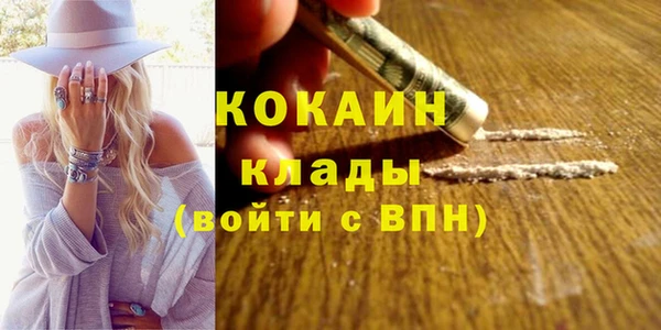 spice Арсеньев