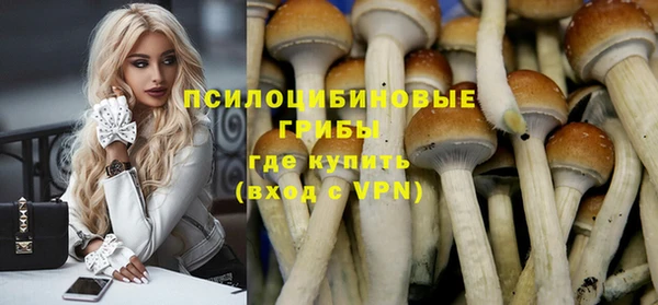 тгк Армянск