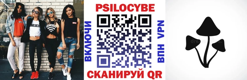 как найти   Осташков  Галлюциногенные грибы GOLDEN TEACHER 